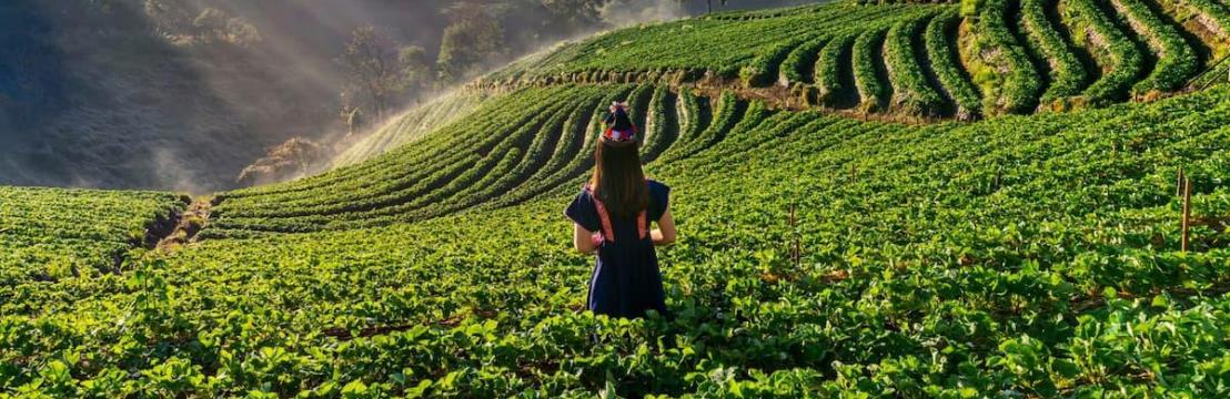 RED HIDROP&Oacute;NICA - HUERTATEK 
